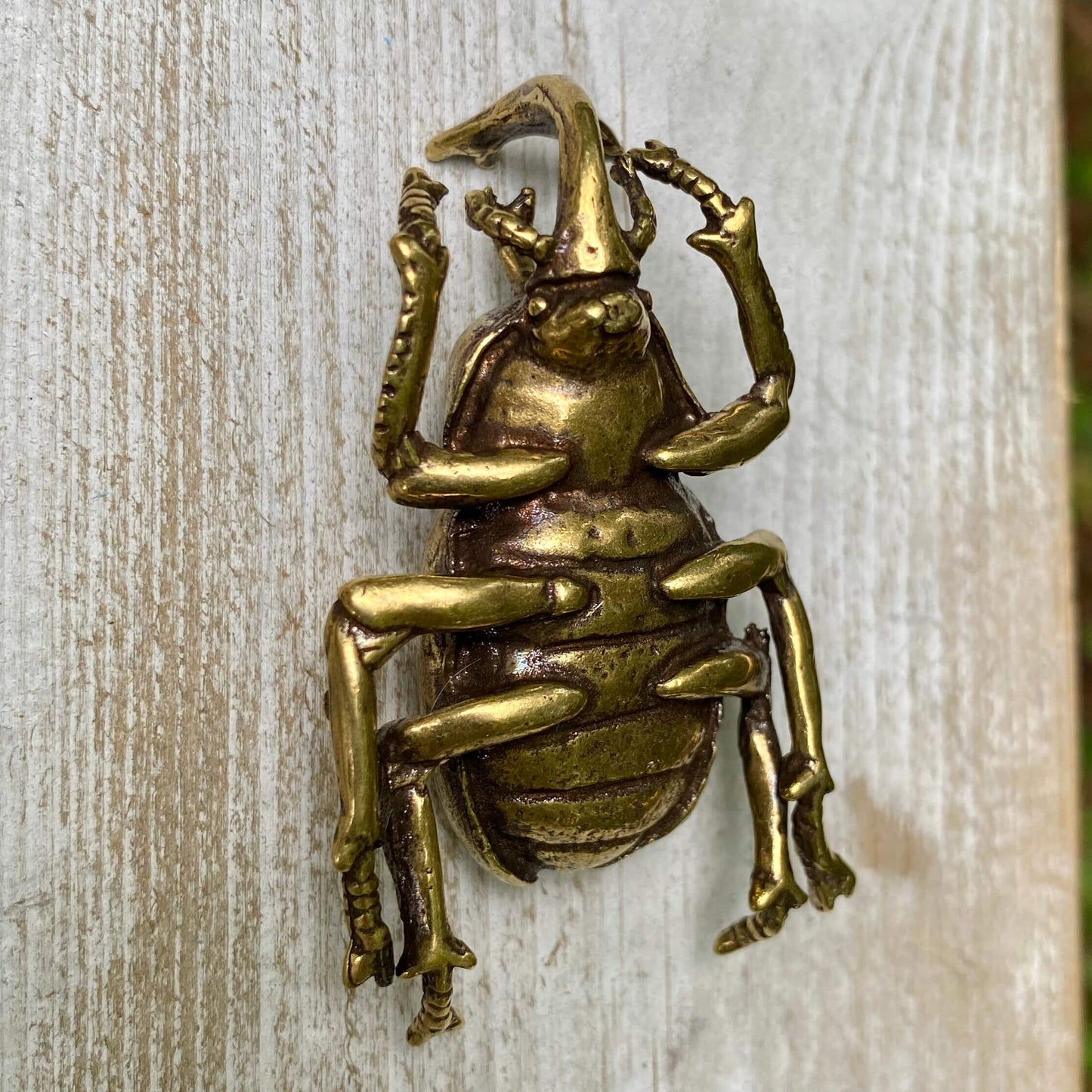 Solid brass rhinoceros beetle sculpture by Wild Brass, showcasing detailed craftsmanship and a symbol of strength and resilience.