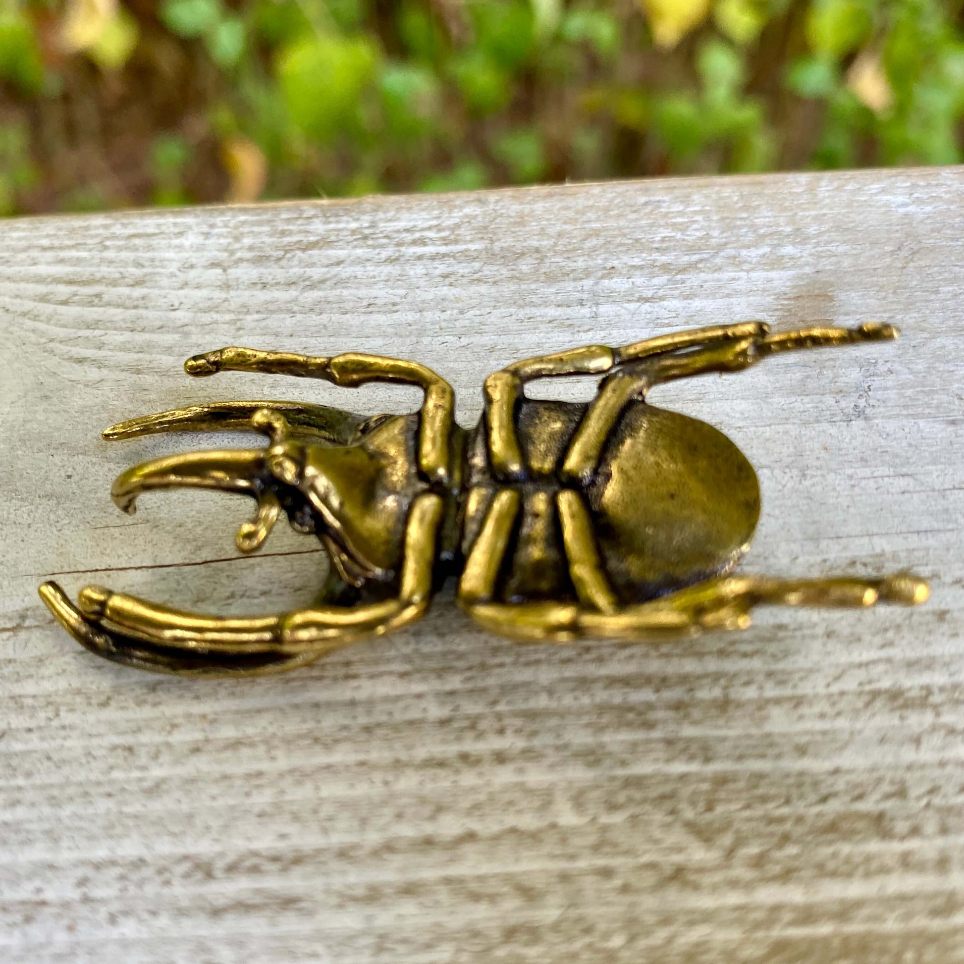 Solid brass Trypoxylus horned rhinoceros beetle sculpture by Wild Brass, showcasing detailed, strong, and symbolic insect design.