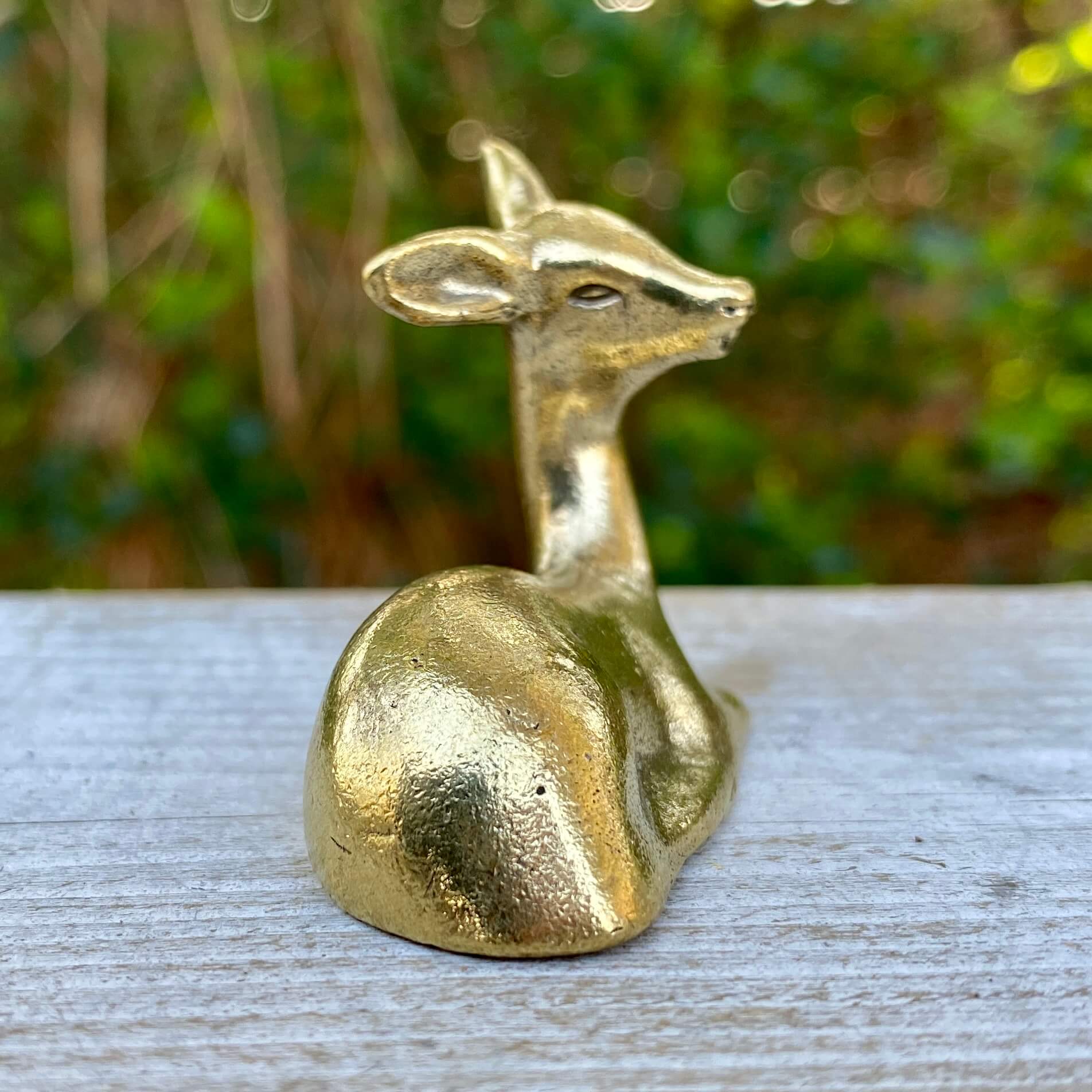 Solid brass deer sculpture by Wild Brass, showcasing elegant, graceful deer with detailed craftsmanship and smooth finish.