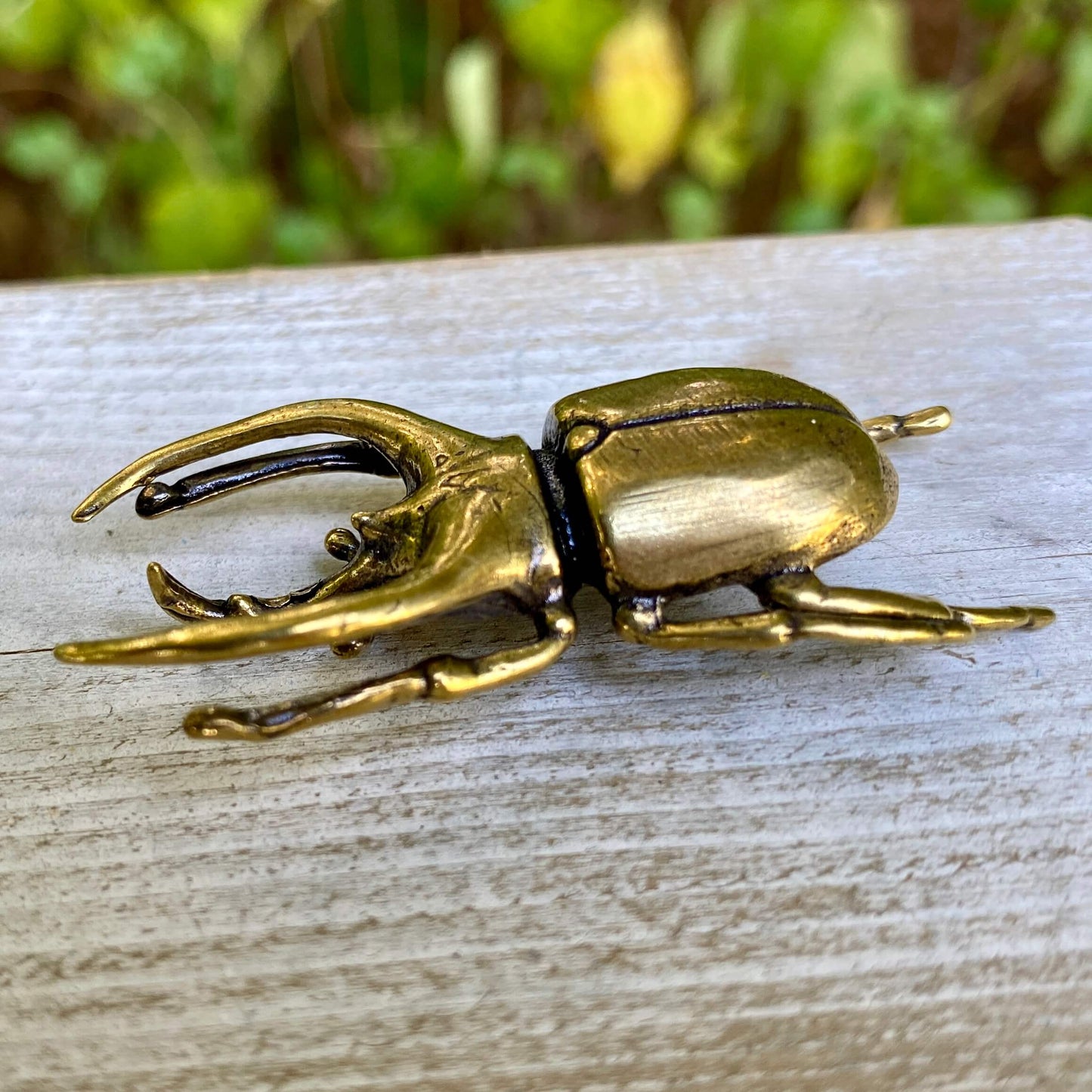 Solid brass Trypoxylus horned rhinoceros beetle sculpture by Wild Brass, showcasing detailed craftsmanship and a strong, bold appearance.