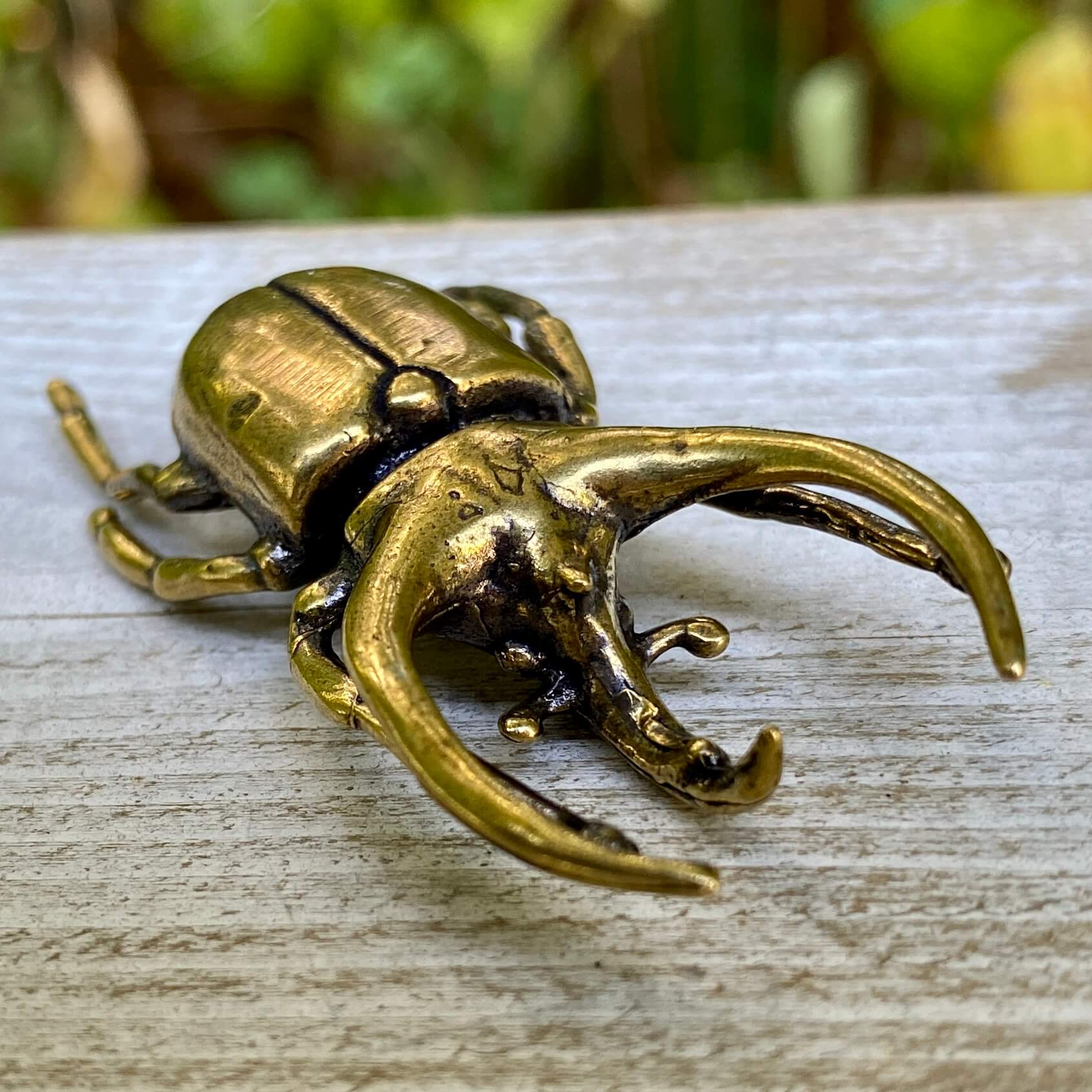 Solid brass Trypoxylus horned rhinoceros beetle sculpture by Wild Brass, showcasing detailed, shiny insect with prominent horns.