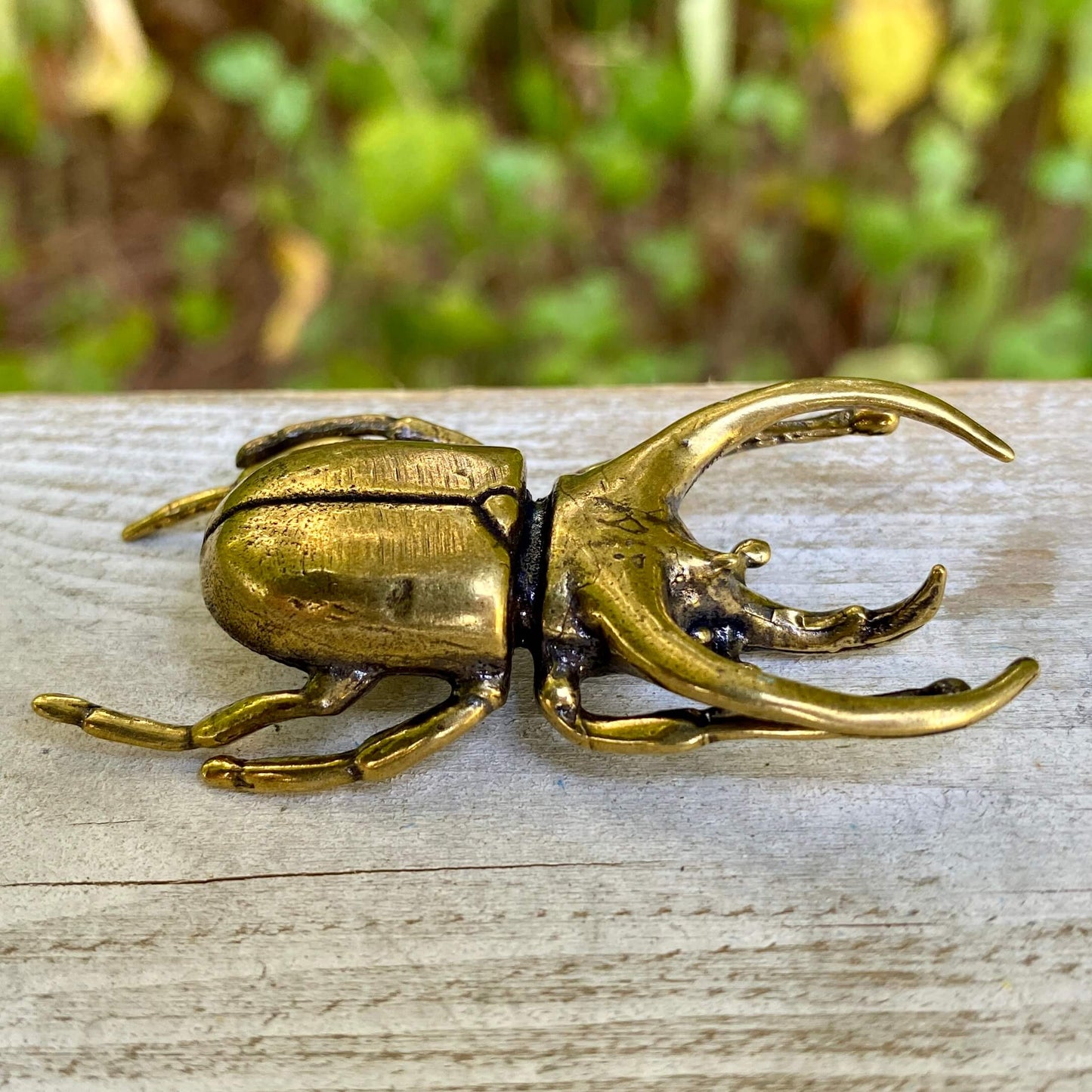 Solid brass Trypoxylus horned rhinoceros beetle sculpture by Wild Brass, showcasing detailed, polished beetle with strong, intricate features.